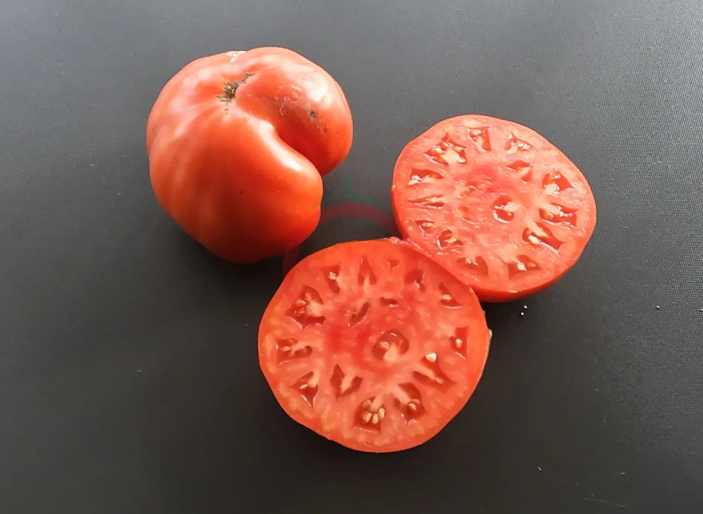 Gigante di Rotonda DER TOMATENFLÜSTERER