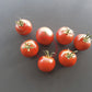 Gloire de Versailles DER TOMATENFLÜSTERER