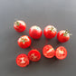 Gloire de Versailles DER TOMATENFLÜSTERER