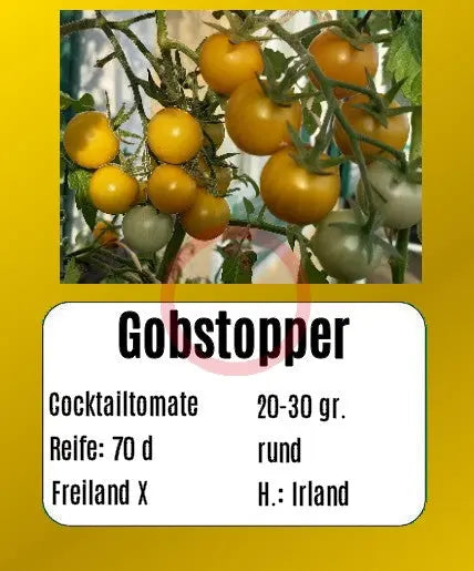 Gobstopper DER TOMATENFLÜSTERER