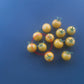 Gobstopper DER TOMATENFLÜSTERER