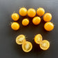 Gold Nugget DER TOMATENFLÜSTERER