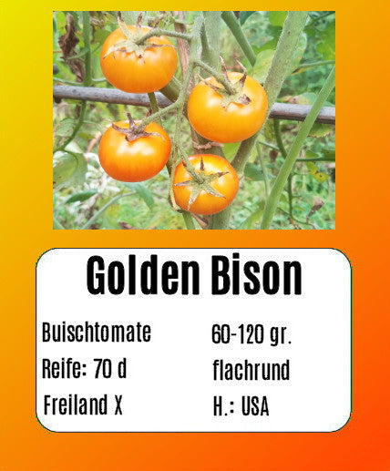Golden Bison DER TOMATENFLÜSTERER