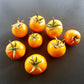 Golden Bison DER TOMATENFLÜSTERER