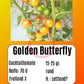 Golden Butterfly DER TOMATENFLÜSTERER