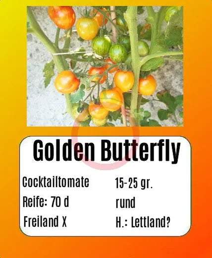 Golden Butterfly DER TOMATENFLÜSTERER