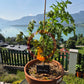 Golden Hour MD DER TOMATENFLÜSTERER