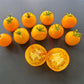 Goldene Königin DER TOMATENFLÜSTERER