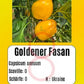 Goldener Fasan DER TOMATENFLÜSTERER