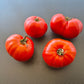 Governor Lazarus DER TOMATENFLÜSTERER
