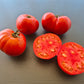 Governor Lazarus DER TOMATENFLÜSTERER