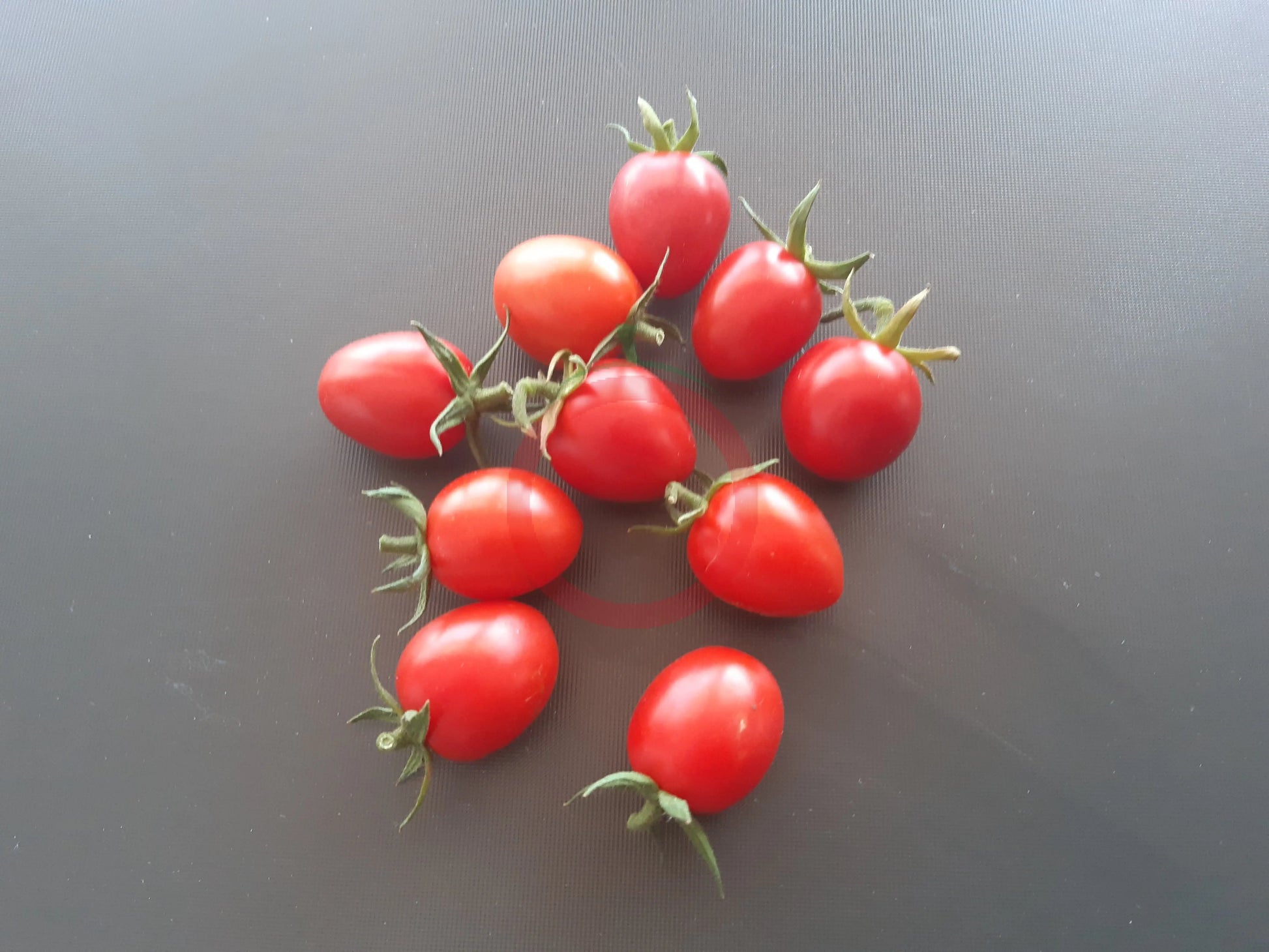 Grappoli Corbarino DER TOMATENFLÜSTERER
