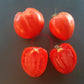 Grbalska Paradejs DER TOMATENFLÜSTERER