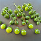 Green Doctors Frosted DER TOMATENFLÜSTERER
