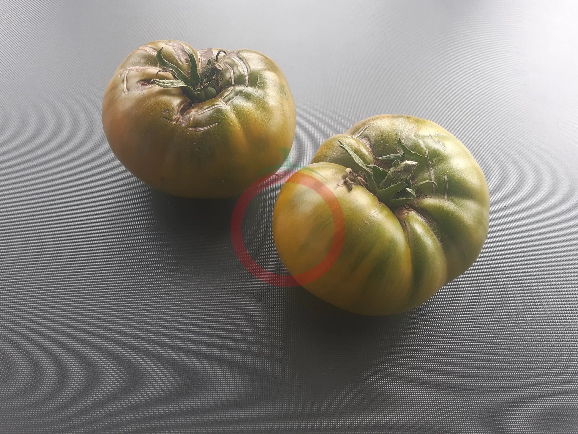 Green Moldovan DER TOMATENFLÜSTERER