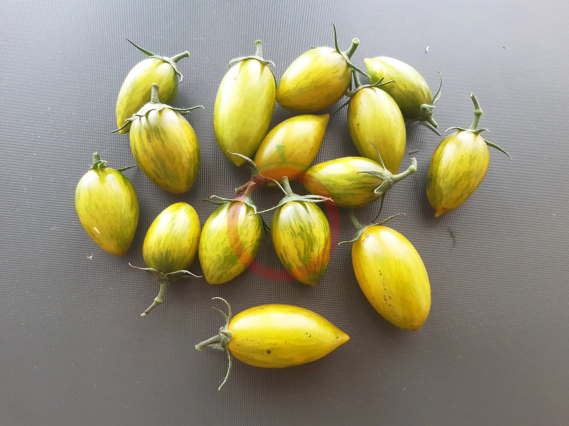 Green Tiger DER TOMATENFLÜSTERER