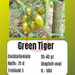 Green Tiger DER TOMATENFLÜSTERER