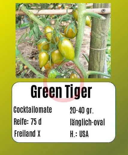 Green Tiger DER TOMATENFLÜSTERER