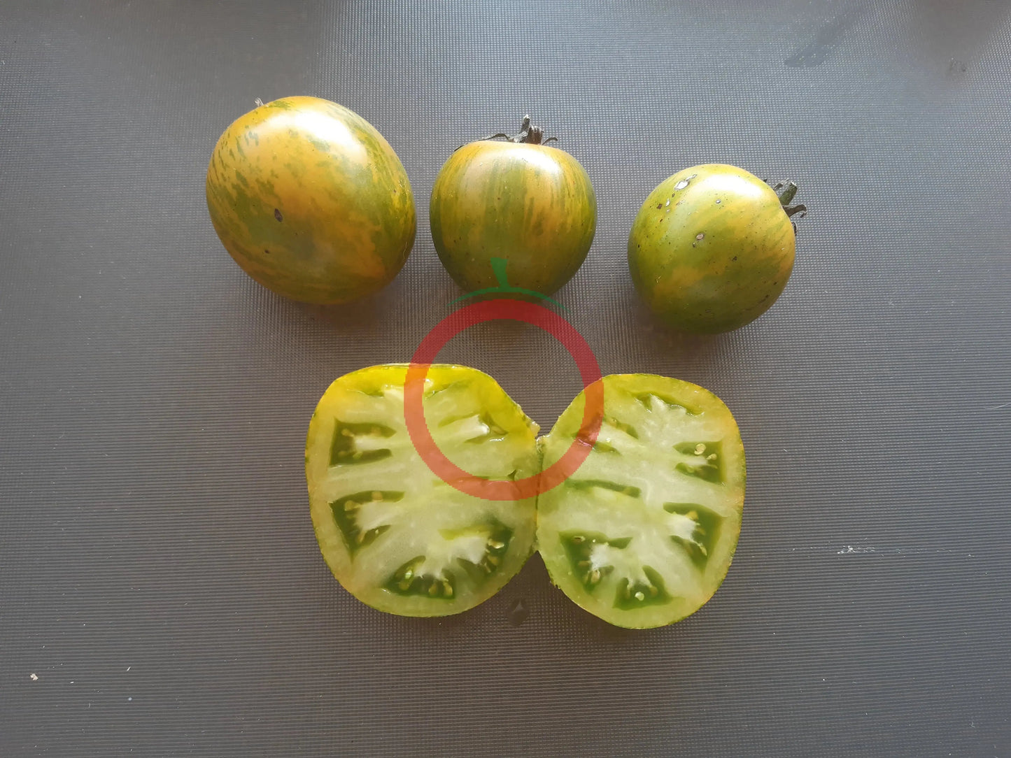 Green Zebra DER TOMATENFLÜSTERER