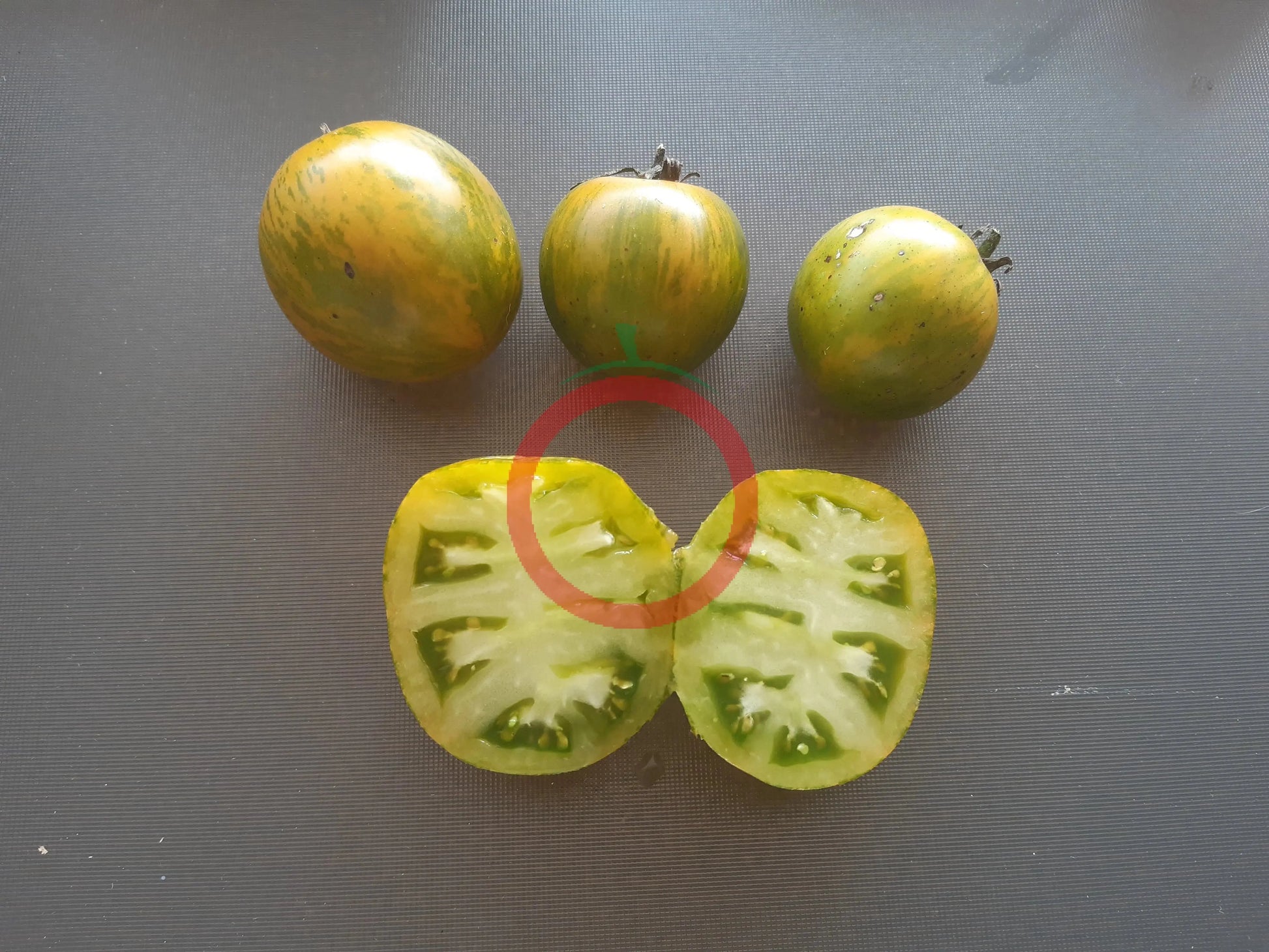 Green Zebra DER TOMATENFLÜSTERER