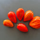 Greenbush Italian DER TOMATENFLÜSTERER