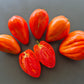 Greenbush Italian DER TOMATENFLÜSTERER