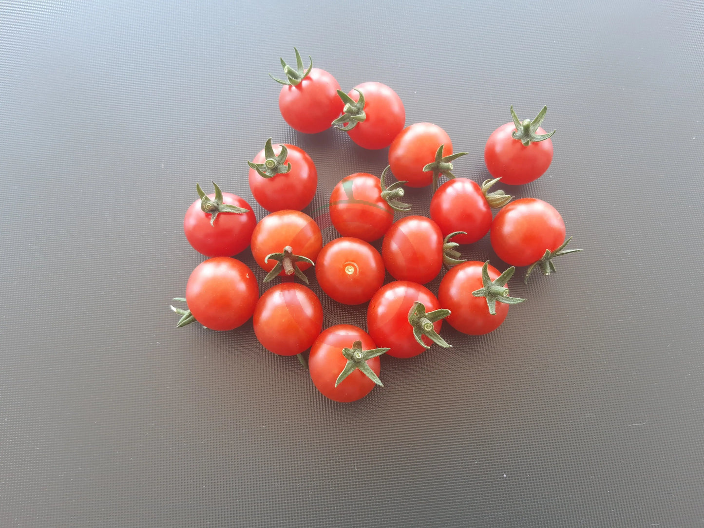 Grenaille Rouge DER TOMATENFLÜSTERER