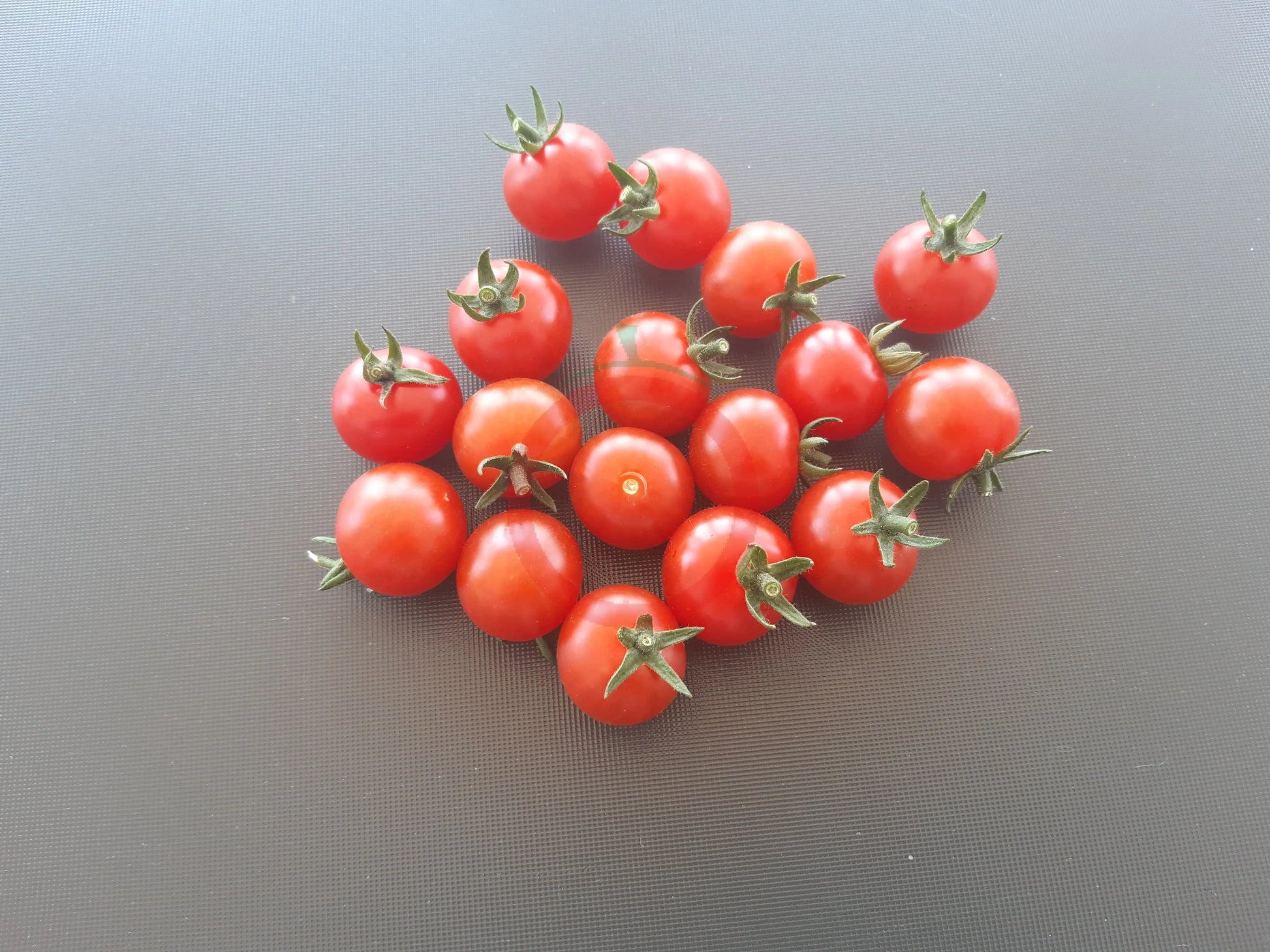 Grenaille Rouge DER TOMATENFLÜSTERER