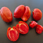 Gyöngyösi Paprika DER TOMATENFLÜSTERER
