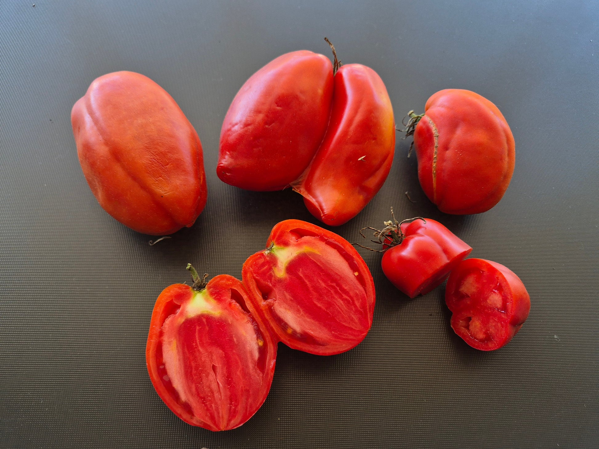 Gyöngyösi Paprika DER TOMATENFLÜSTERER