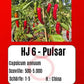 HJ 6 - Pulsar DER TOMATENFLÜSTERER