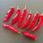 HJ 6 - Pulsar DER TOMATENFLÜSTERER