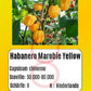 Habanero Marobie Yellow DER TOMATENFLÜSTERER