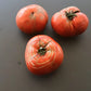 Hercegovac DER TOMATENFLÜSTERER