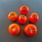 Hoffmanns Rentita DER TOMATENFLÜSTERER