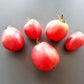 Hog Heart DER TOMATENFLÜSTERER
