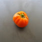 Hopkins Revolutionary DER TOMATENFLÜSTERER