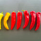 Hungarian Hot Wax DER TOMATENFLÜSTERER