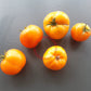 Husky Gold DER TOMATENFLÜSTERER