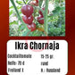 Ikra Chornaja DER TOMATENFLÜSTERER