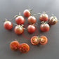 Ikra Chornaja DER TOMATENFLÜSTERER
