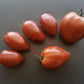 Inciardi Paste DER TOMATENFLÜSTERER