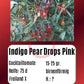 Indigo Pear Drops Pink DER TOMATENFLÜSTERER