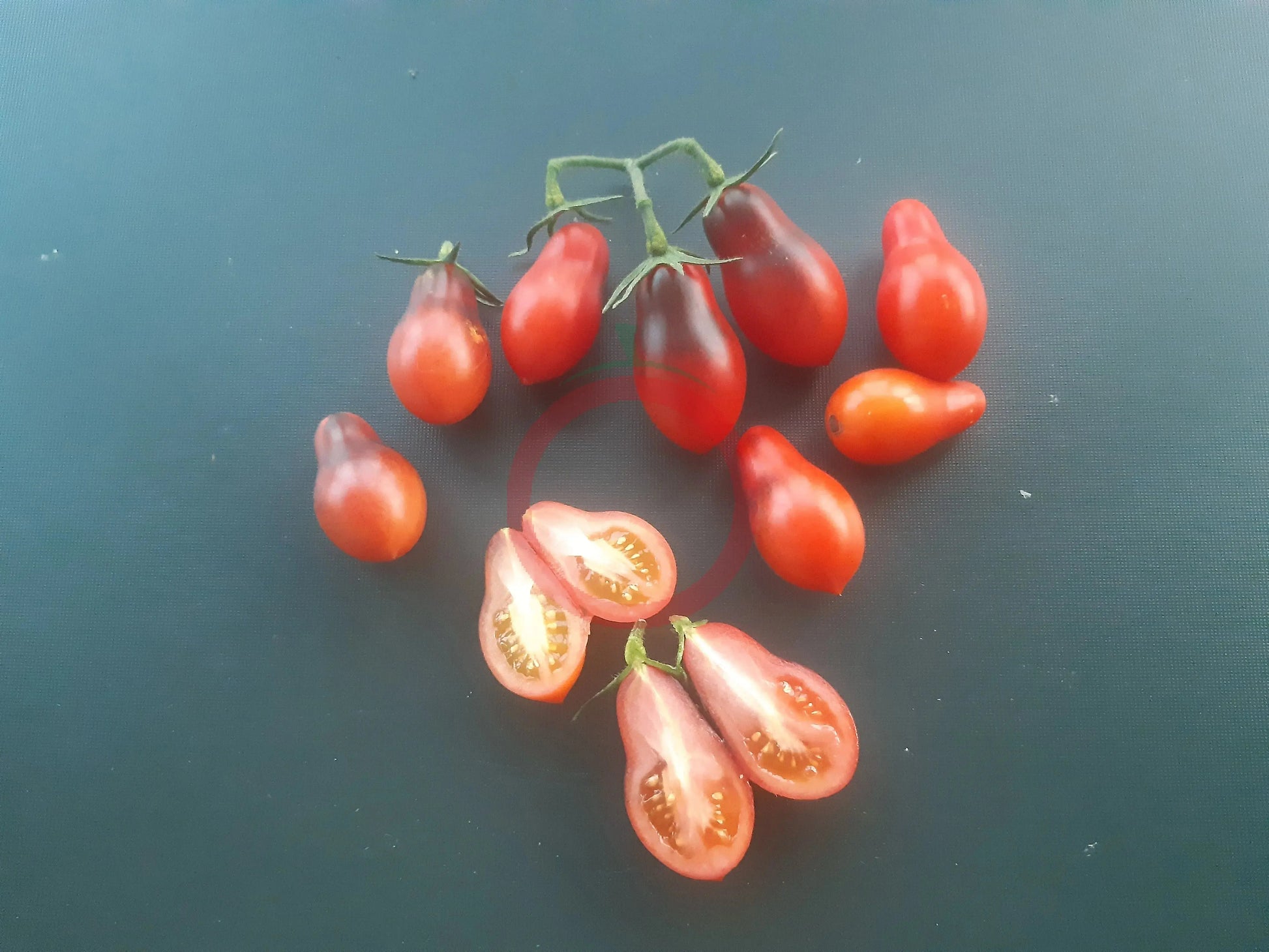 Indigo Pear Drops Pink DER TOMATENFLÜSTERER