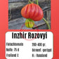 Inzhir Rozovyi DER TOMATENFLÜSTERER