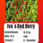 Iva´s Red Berry DER TOMATENFLÜSTERER