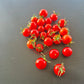 Iva´s Red Berry DER TOMATENFLÜSTERER