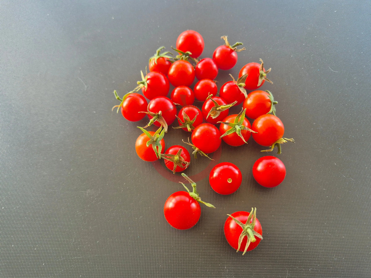 Iva´s Red Berry DER TOMATENFLÜSTERER