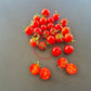 Iva´s Red Berry DER TOMATENFLÜSTERER