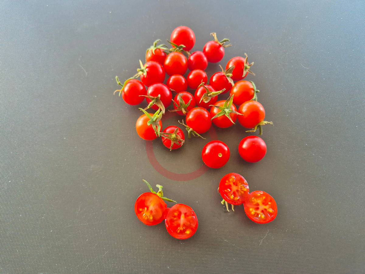 Iva´s Red Berry DER TOMATENFLÜSTERER